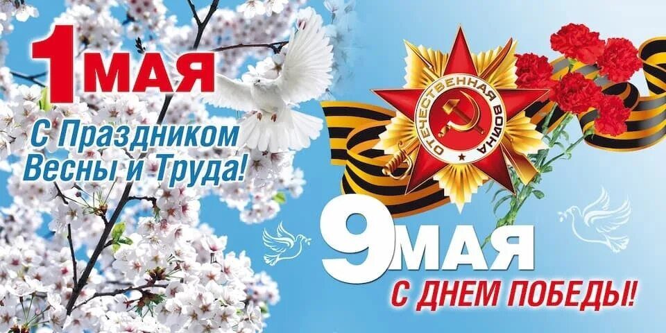 Поздравление председателя Саратовской областной организации Общероссийского профсоюза работников культуры Веры Дмитриевой с Праздником Весны и Труда и 80-летием Победы в Великой Отечественной войне